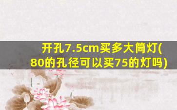 开孔7.5cm买多大筒灯(80的孔径可以买75的灯吗)