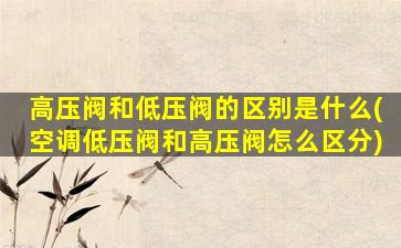 高压阀和低压阀的区别是什么(空调低压阀和高压阀怎么区分)