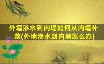 外墙渗水到内墙如何从内墙补救(外墙渗水到内墙怎么办)