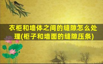 衣柜和墙体之间的缝隙怎么处理(柜子和墙面的缝隙压条)