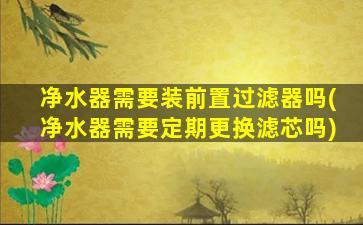净水器需要装前置过滤器吗(净水器需要定期更换滤芯吗)