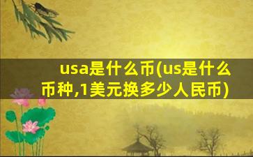 usa是什么币(us是什么币种,1美元换多少人民币)