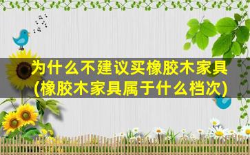 为什么不建议买橡胶木家具(橡胶木家具属于什么档次)