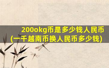 200okg币是多少钱人民币(一千越南币换人民币多少钱)