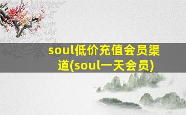 soul低价充值会员渠道(soul一天会员)