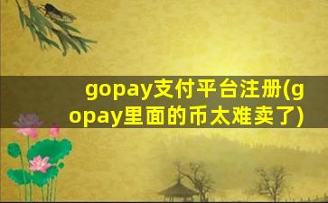 gopay支付平台注册(gopay里面的币太难卖了)
