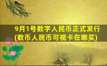 9月1号数字人民币正式发行(数币人民币可视卡在哪买)