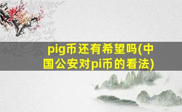 pig币还有希望吗(中国公安对pi币的看法)