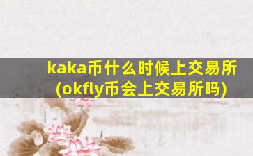 kaka币什么时候上交易所(okfly币会上交易所吗)