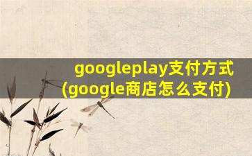 googleplay支付方式(google商店怎么支付)