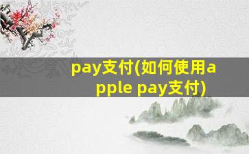 pay支付(如何使用apple pay支付)