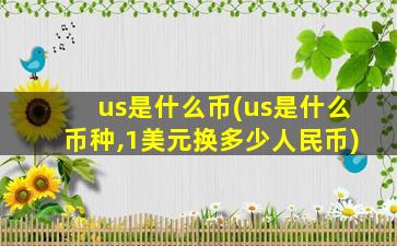 us是什么币(us是什么币种,1美元换多少人民币)