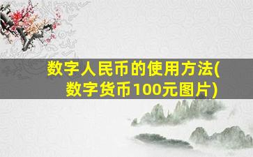 数字人民币的使用方法(数字货币100元图片)