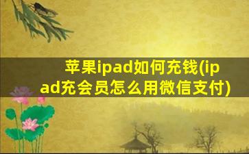苹果ipad如何充钱(ipad充会员怎么用微信支付)