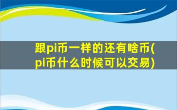 跟pi币一样的还有啥币(pi币什么时候可以交易)