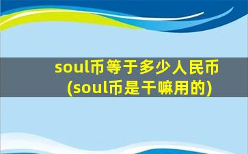 soul币等于多少人民币(soul币是干嘛用的)