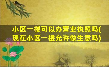 小区一楼可以办营业执照吗(现在小区一楼允许做生意吗)