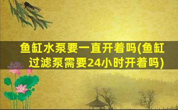 鱼缸水泵要一直开着吗(鱼缸过滤泵需要24小时开着吗)