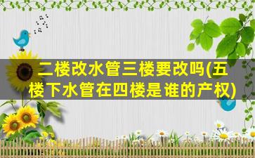 二楼改水管三楼要改吗(五楼下水管在四楼是谁的产权)