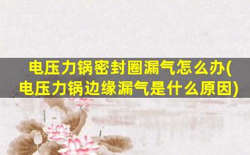 电压力锅密封圈漏气怎么办(电压力锅边缘漏气是什么原因)