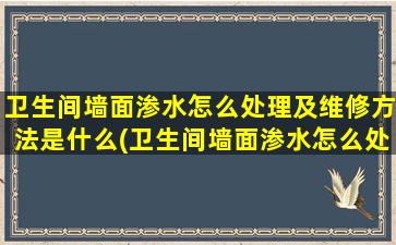 卫生间墙面渗水怎么处理及维修方法是什么(卫生间墙面渗水怎么处理及维修方法)