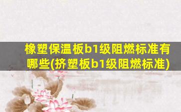 橡塑保温板b1级阻燃标准有哪些(挤塑板b1级阻燃标准)