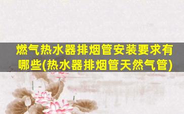 燃气热水器排烟管安装要求有哪些(热水器排烟管天然气管)