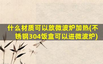 什么材质可以放微波炉加热(不锈钢304饭盒可以进微波炉)