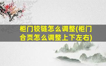 柜门铰链怎么调整(柜门合页怎么调整上下左右)