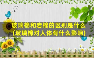 玻璃棉和岩棉的区别是什么(玻璃棉对人体有什么影响)