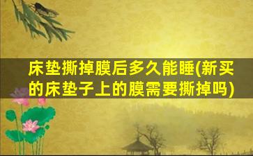 床垫撕掉膜后多久能睡(新买的床垫子上的膜需要撕掉吗)
