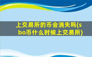 上交易所的币会消失吗(sbo币什么时候上交易所)