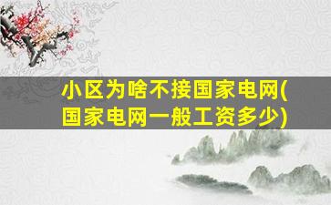 小区为啥不接国家电网(国家电网一般工资多少)