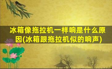 冰箱像拖拉机一样响是什么原因(冰箱跟拖拉机似的响声)