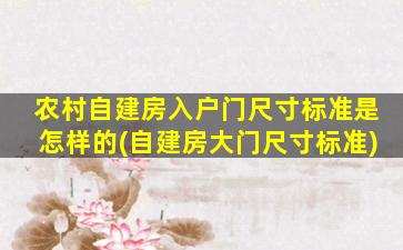 农村自建房入户门尺寸标准是怎样的(自建房大门尺寸标准)