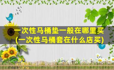 一次性马桶垫一般在哪里买(一次性马桶套在什么店买)