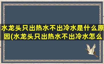 水龙头只出热水不出冷水是什么原因(水龙头只出热水不出冷水怎么回事)