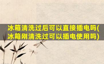 冰箱清洗过后可以直接插电吗(冰箱刚清洗过可以插电使用吗)