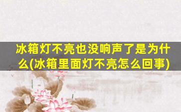 冰箱灯不亮也没响声了是为什么(冰箱里面灯不亮怎么回事)