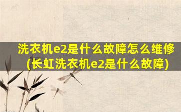 洗衣机e2是什么故障怎么维修(长虹洗衣机e2是什么故障)