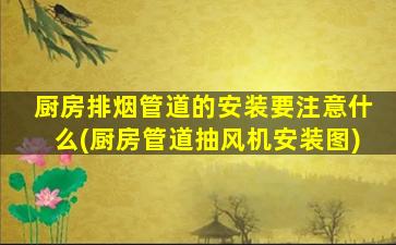 厨房排烟管道的安装要注意什么(厨房管道抽风机安装图)