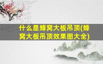 什么是蜂窝大板吊顶(蜂窝大板吊顶效果图大全)