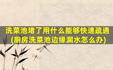 洗菜池堵了用什么能够快速疏通(厨房洗菜池边缘漏水怎么办)
