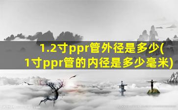 1.2寸ppr管外径是多少(1寸ppr管的内径是多少毫米)