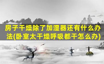 房子干燥除了加湿器还有什么办法(卧室太干燥呼吸都干怎么办)