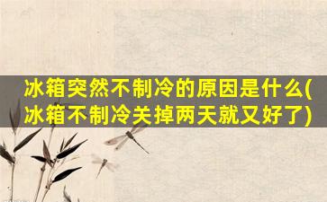 冰箱突然不制冷的原因是什么(冰箱不制冷关掉两天就又好了)