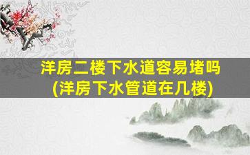 洋房二楼下水道容易堵吗(洋房下水管道在几楼)