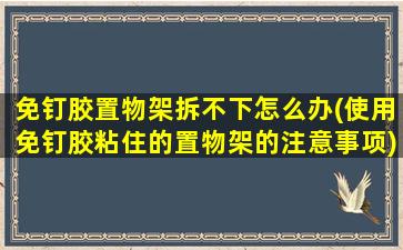 免钉胶置物架拆不下怎么办(使用免钉胶粘住的置物架的注意事项)