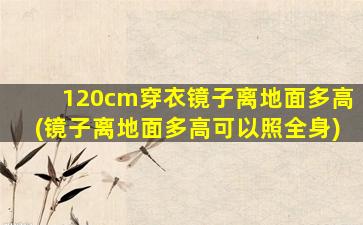 120cm穿衣镜子离地面多高(镜子离地面多高可以照全身)