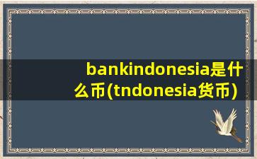 bankindonesia是什么币(tndonesia货币)